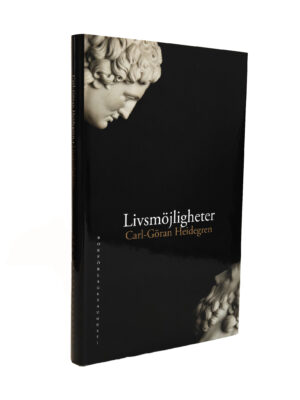 Livsmöjligheter